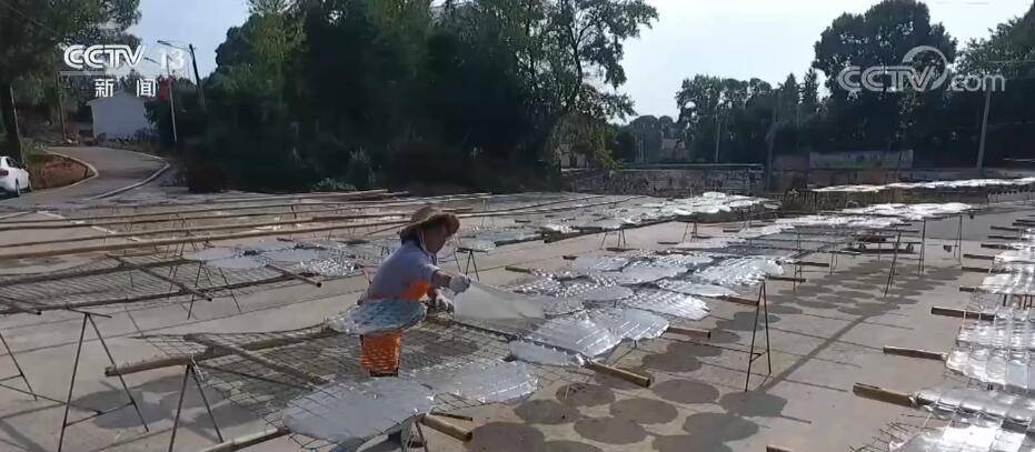 一线调研：农村公交闲置运力让农产品“走出去”