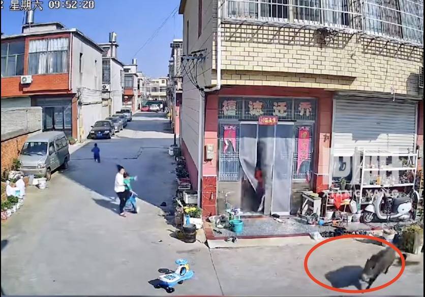 不是上海<strong></p>
<p>虚拟币杠杆</strong>！不是上海！不是上海！最新：已被特警击毙