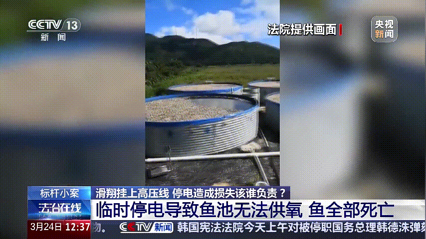 深圳女子被挂高压线！停电救援<strong></p>
<p>2017虚拟币行情</strong>，9池鱼死光！他怒上法庭……