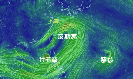 大风+大雨<strong></p>
<p>稳定币有哪几种</strong>，上海今起受台风影响！一活动紧急取消！这几个区的雨更大