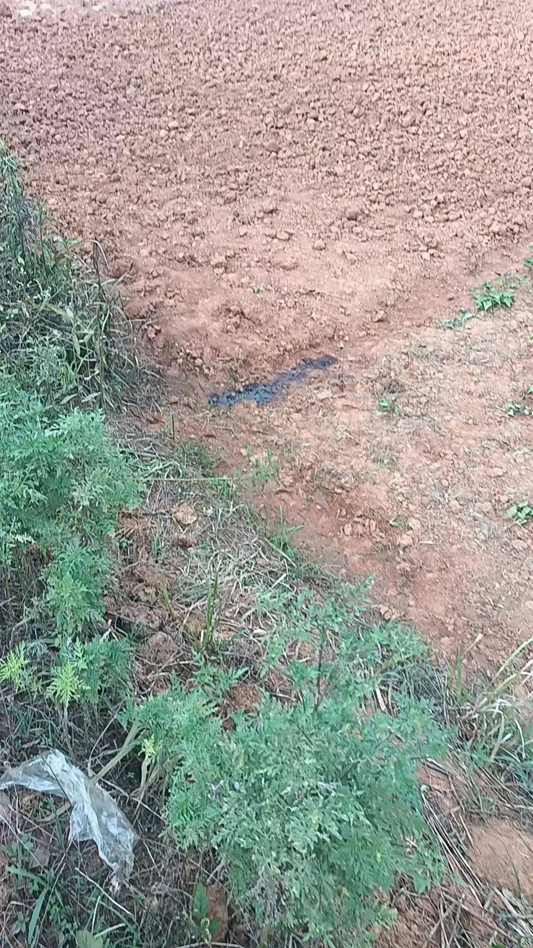 工人被误当猎物枪击身亡<strong></p>
<p>明航</strong>，警方通报：屈某某、罗某某被刑拘
