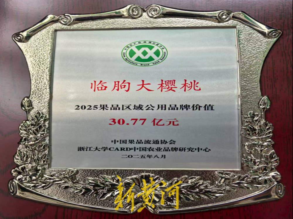 潍坊临朐：30.77 亿元<strong></p>
<p>永泰能源股票</strong>！“红玛瑙”大樱桃何以成乡村振兴“甜蜜引擎”