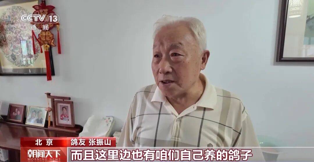明天将放飞8万羽和平鸽、8万只气球<strong></p>
<p>大众交通股票</strong>，揭秘！