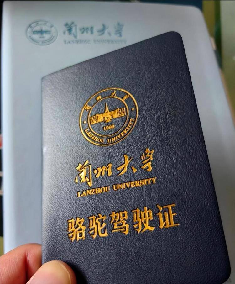一人一驼<strong></p>
<p>大众交通股票</strong>，骆驼尾气排放超标要扣分？兰大回应学生持证骑骆驼上学：骆驼驾驶证为学校文创，非官方证件