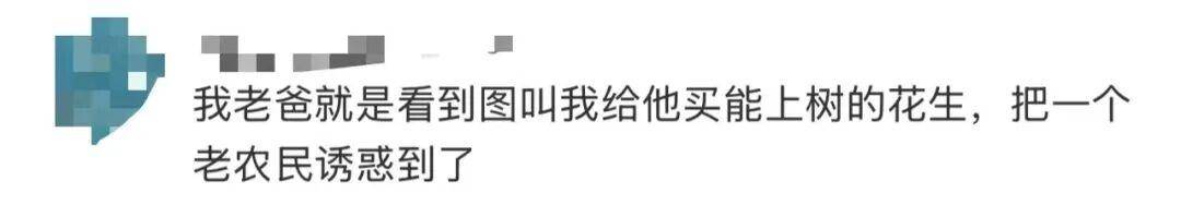 “花生上树”闹剧：AI翻车背后<strong></p>
<p>选股票</strong>，我们都在弄丢常识？