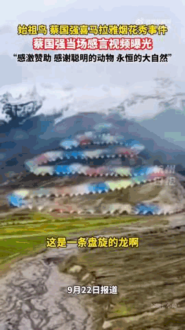 “感谢大家支持我大闹天宫……”蔡国强烟花秀现场感言视频披露<strong></p>
<p>股票收益</strong>，又遭质疑！