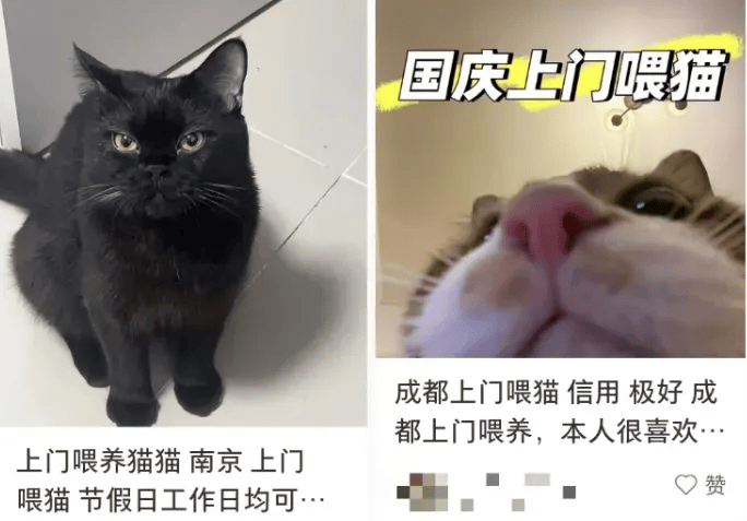 这个需求激增！一男子连接270单<strong></p>
<p>安阳钢铁股票</strong>，其中一笔收费8100元