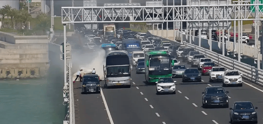粤B·97821D、粤Z·AG85澳、粤T·91736<strong></p>
<p>安阳钢铁股票</strong>，你们被拍下来了！