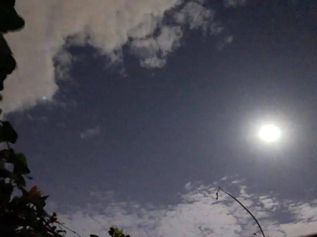 没有什么能阻挡！今天<strong></p>
<p>安阳钢铁股票</strong>，广西人就是要回家！