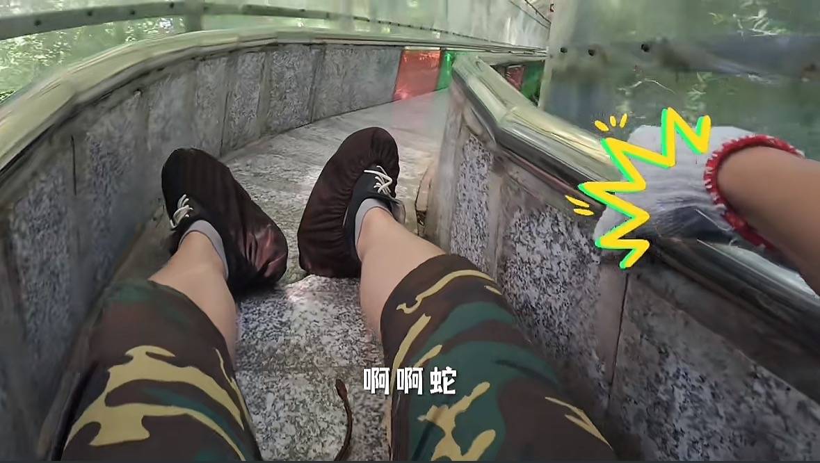 游客称在广西丹炉山滑道遇蛇<strong></p>
<p>荣盛发展股票</strong>，景区致歉：这么多年就这一次，每年都做防蛇处理