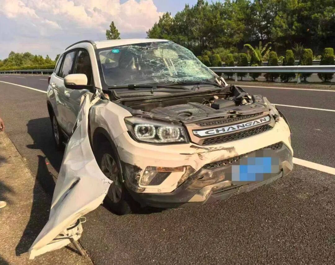 “我撒谎天打雷劈！”男子高速突然强行变道致翻车<strong></p>
<p>广联达股票</strong>，反诬赖对方