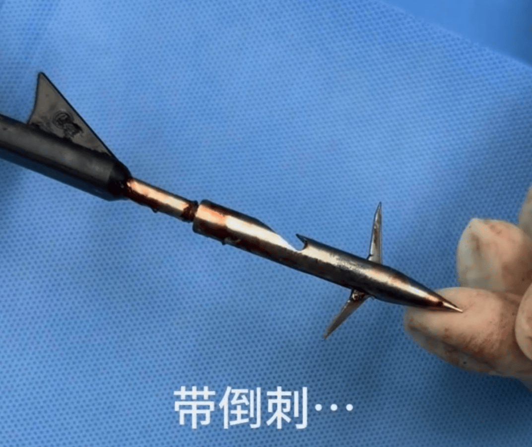 教育局回应“一教师用弓箭射杀小狗”：不实<strong></p>
<p>广联达股票</strong>，小狗进学校前就被射伤