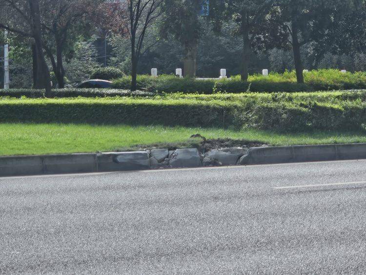 成都发生一起严重交通事故<strong></p>
<p>海南发展股票</strong>，上游新闻实地探访：燃烧留下的印记仍在
