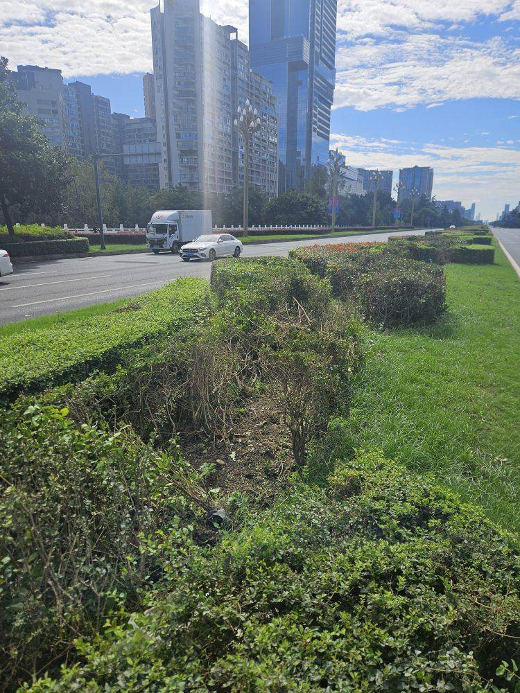 成都发生一起严重交通事故<strong></p>
<p>海南发展股票</strong>，上游新闻实地探访：燃烧留下的印记仍在