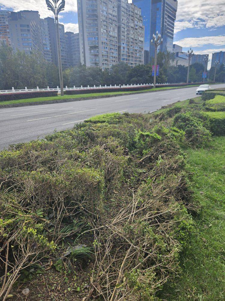 成都发生一起严重交通事故<strong></p>
<p>海南发展股票</strong>，上游新闻实地探访：燃烧留下的印记仍在
