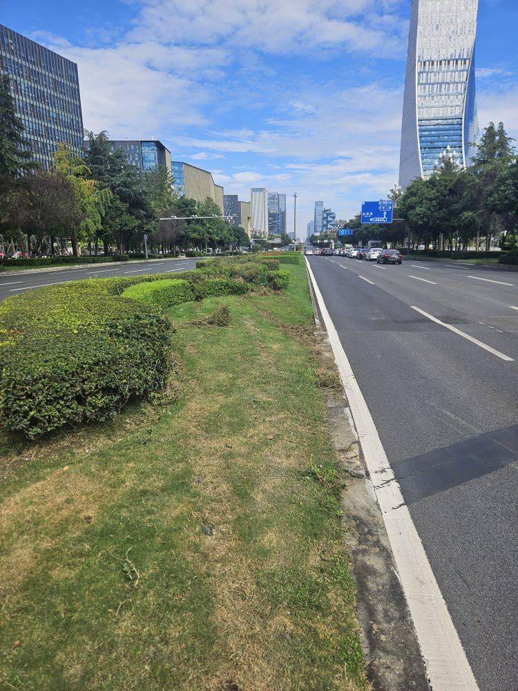 成都发生一起严重交通事故<strong></p>
<p>海南发展股票</strong>，上游新闻实地探访：燃烧留下的印记仍在