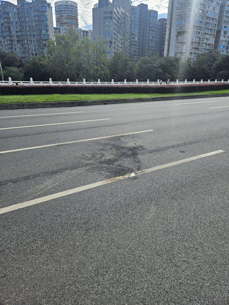 成都发生一起严重交通事故<strong></p>
<p>海南发展股票</strong>，上游新闻实地探访：燃烧留下的印记仍在