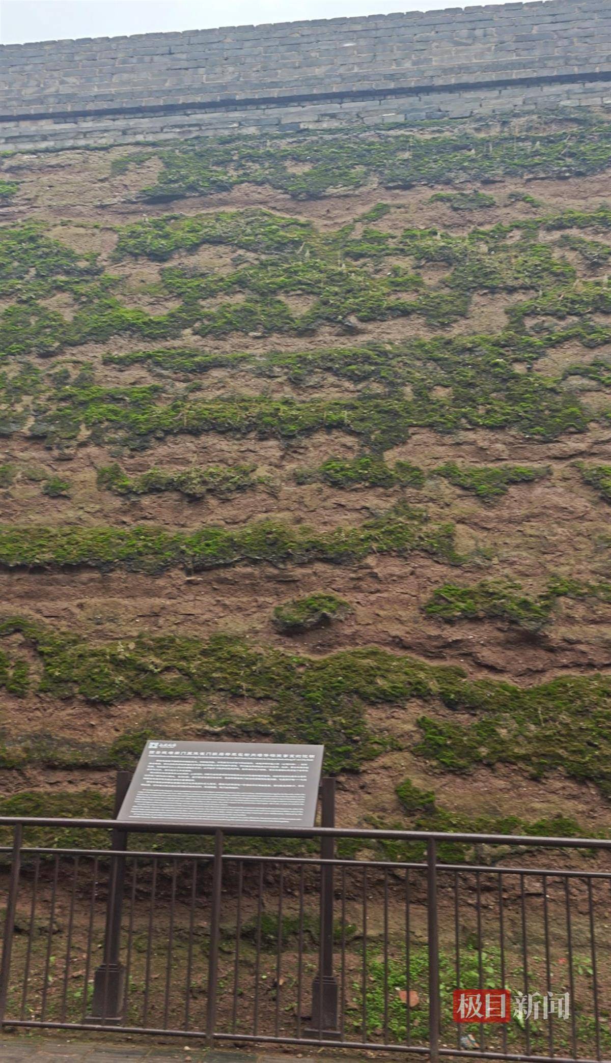 西安连续一个多月降雨遍地长蘑菇<strong></p>
<p>海南发展股票</strong>，大雁塔受潮，城墙布满青苔，气象局解释成因