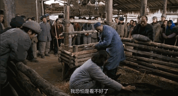 为什么说现在不缺牛马<strong></p>
<p>海南发展股票</strong>，就缺驴？