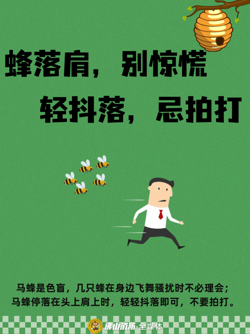 深圳一市民突遭马蜂围袭！已进入高发期<strong></p>
<p>海南发展股票</strong>，千万别招惹！