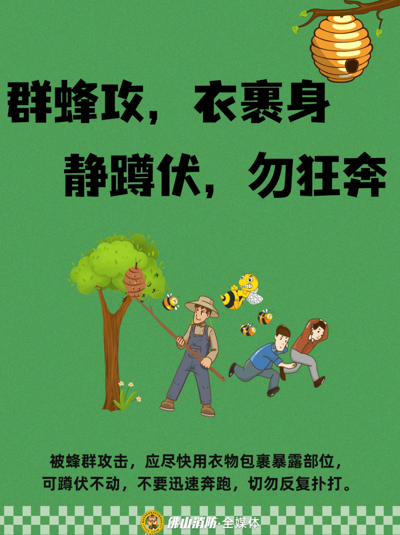 深圳一市民突遭马蜂围袭！已进入高发期<strong></p>
<p>海南发展股票</strong>，千万别招惹！
