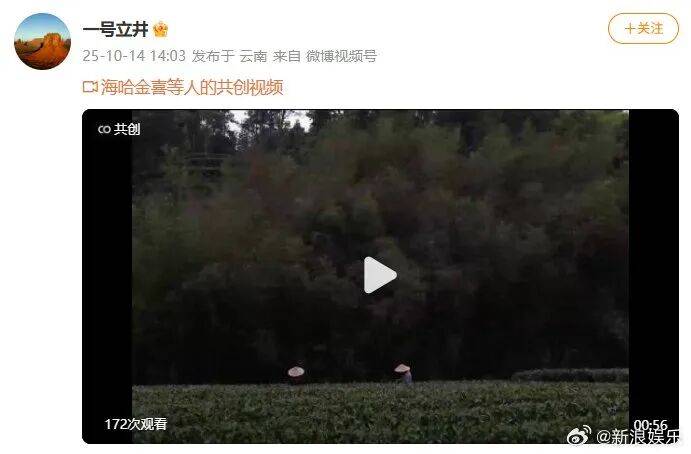 李亚鹏官宣与海哈金喜离婚：已经办理了离婚手续<strong></p>
<p>华英农业股票</strong>，孩子跟随母亲生活，由双方抚养