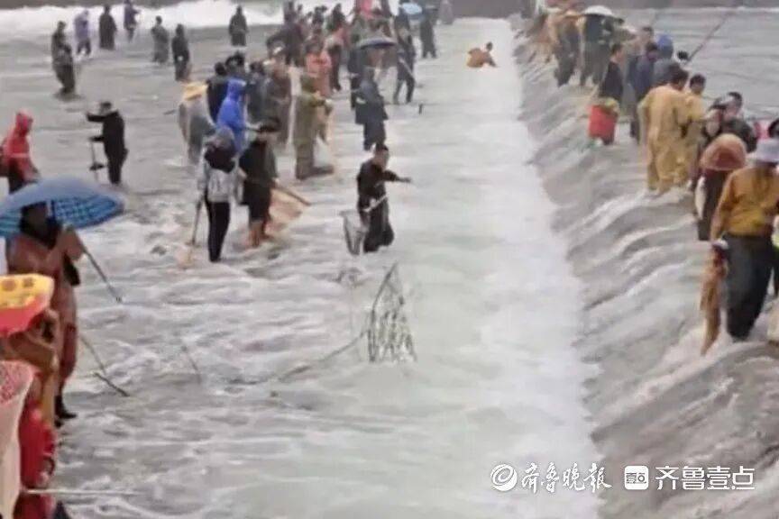 “鱼多得数不过来<strong></p>
<p>华英农业股票</strong>，一网子下去能捞好几条”济南锦绣川水库开闸放水，大量鲢鱼被冲出，工作人员：禁止捕捞！