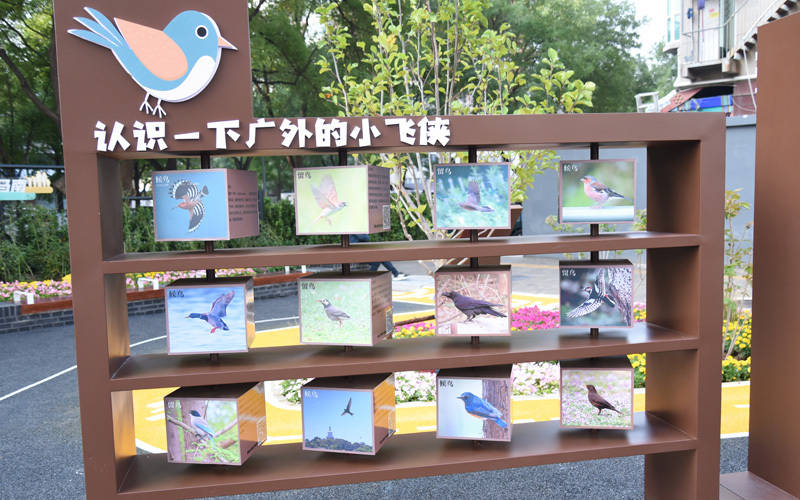 西城区广外街道：“断头路”变身口袋公园<strong></p>
<p>亨通光电股票</strong>，装满民生“微幸福”