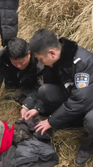 辽宁4岁女童称睡醒后自行下车<strong></p>
<p>航发动力股票</strong>,迷路后睡在草地,期间无人接触;其母发声