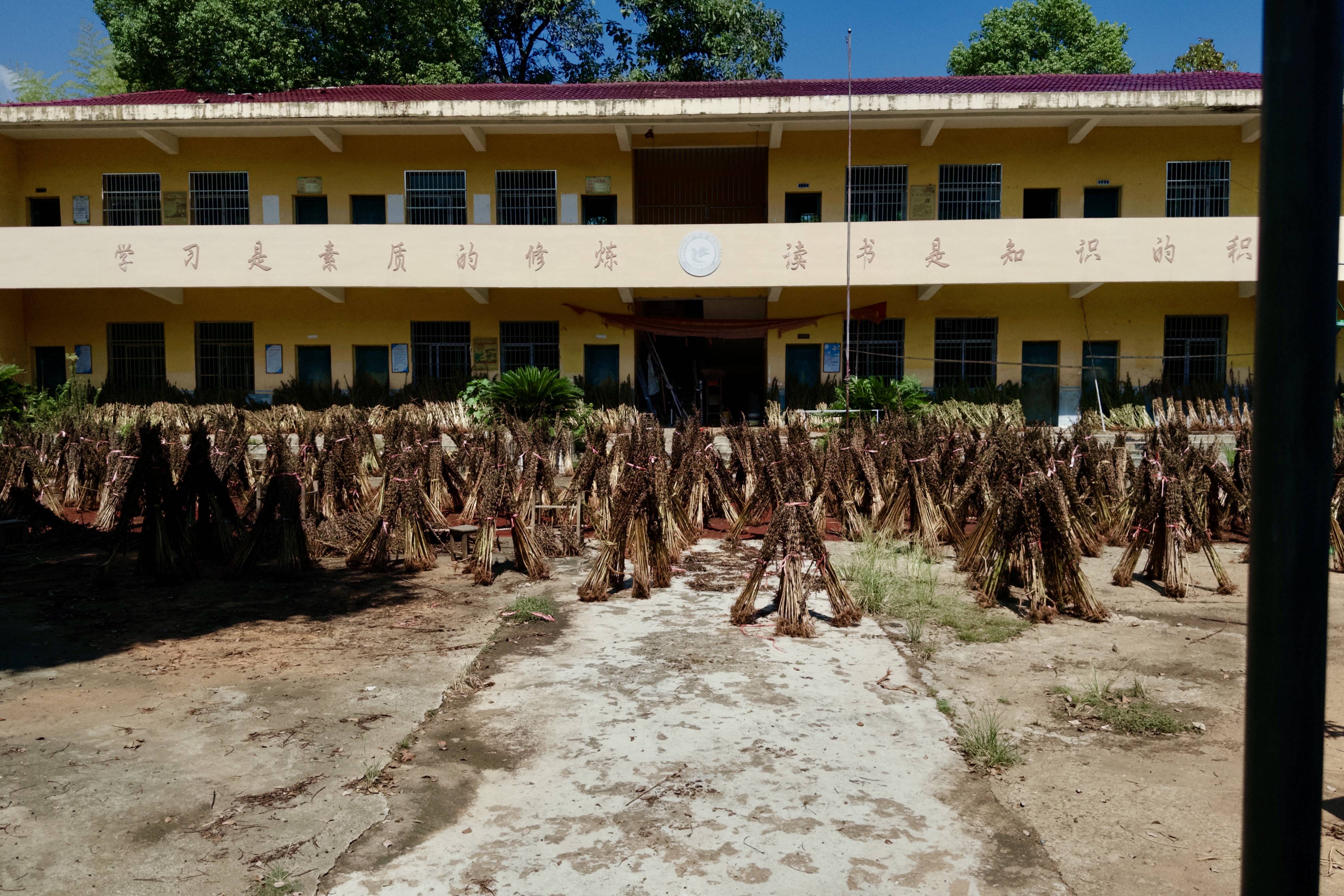 在县城当老师<strong></p>
<p>航发动力股票</strong>,没那么吃香了