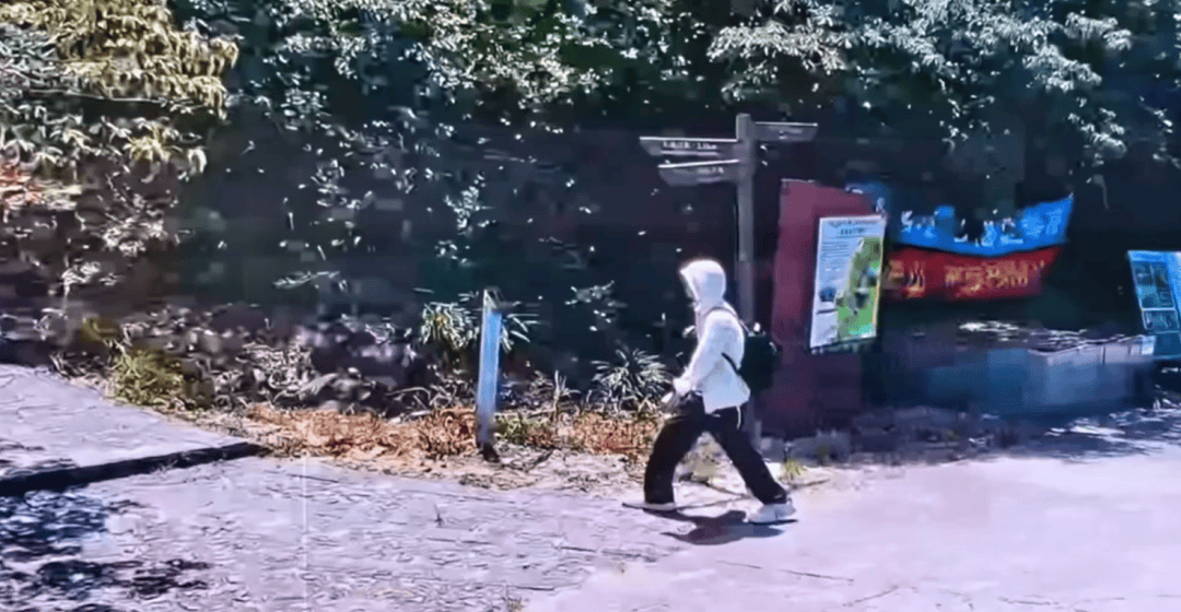 深圳登山失联约70天<strong></p>
<p>国泰君安股票</strong>，27岁男子遗体疑被找到已遇难，其位于一块大石头下，家属回应