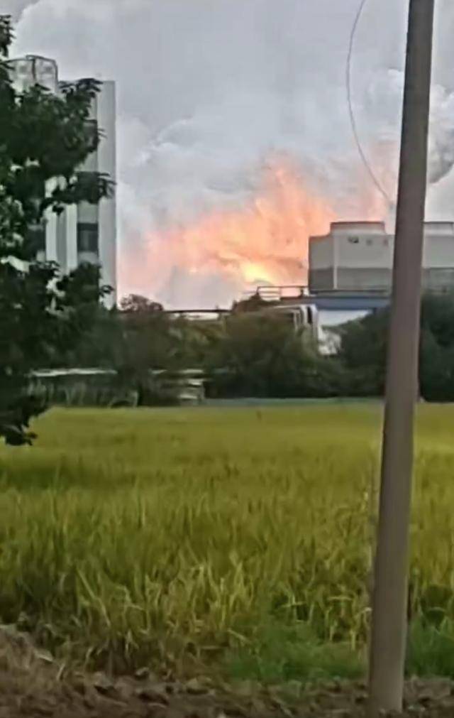 澄星股份工厂发生火灾？附近酒店：已灭火<strong></p>
<p>国泰君安股票</strong>，有刺激性气味，建议不开窗