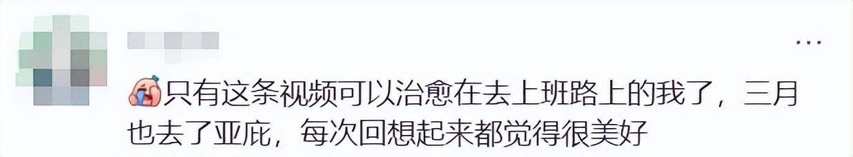 上海女生国外丢失手机<strong></p>
<p>海格通信股票</strong>,找回后发现多了两段视频,网友:结局意想不到……