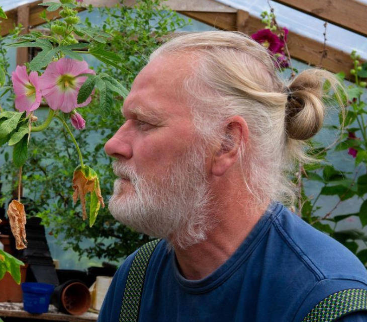 两只雌蚊和一只雄蚊被发现<strong></p>
<p>保变电气股票</strong>,全球最后一个无蚊国冰岛“沦陷”