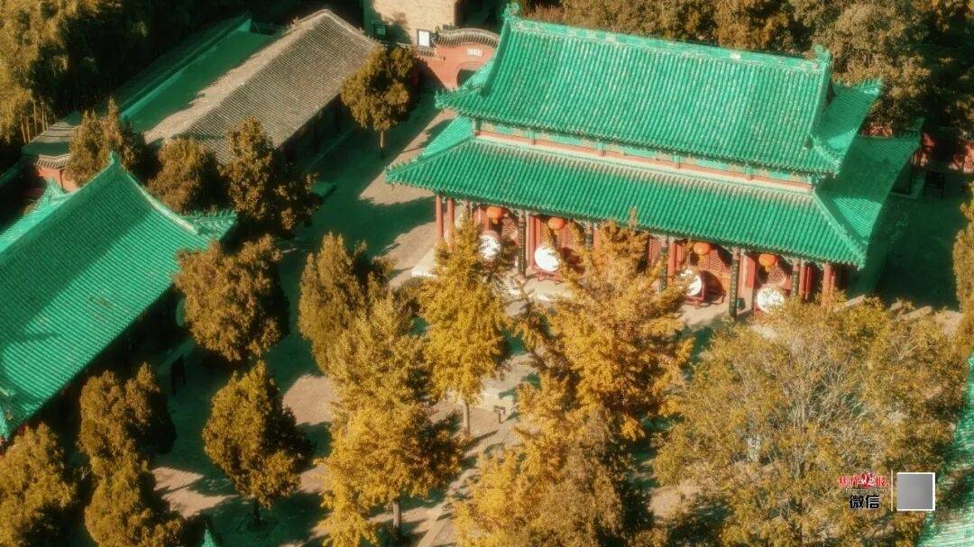 银杏金黄<strong></p>
<p>博通股票</strong>！铺满焦作的秋天！