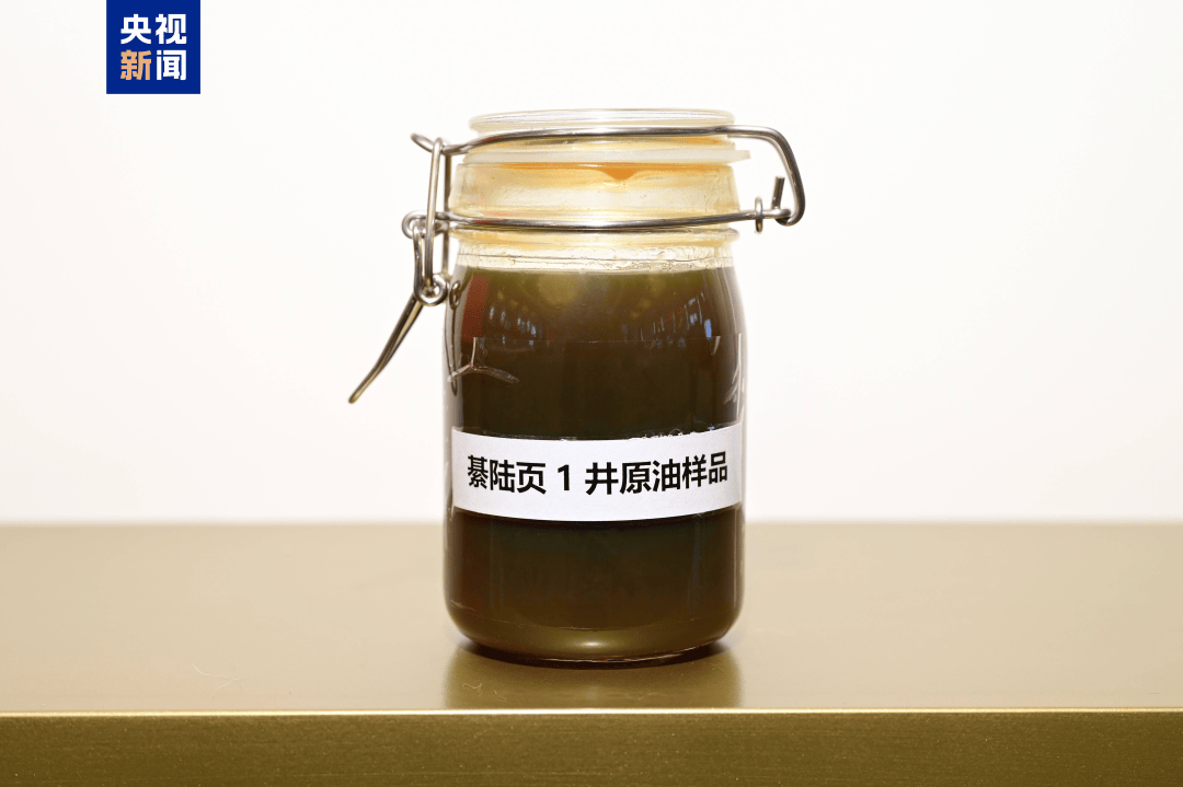 我国发现亿吨级页岩油资源<strong></p>
<p>东方园林股票</strong>!