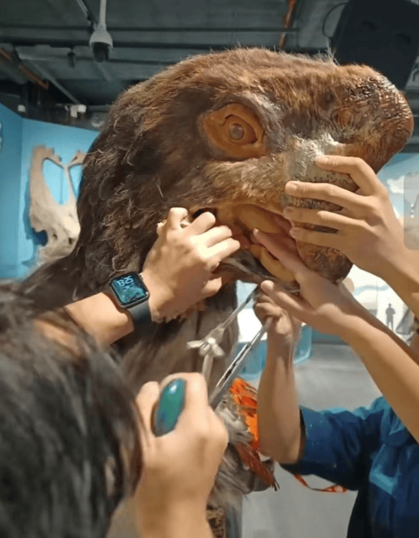 被卡住了<strong></p>
<p>广电运通股票</strong>!广州一游客把手伸进恐龙模型嘴中