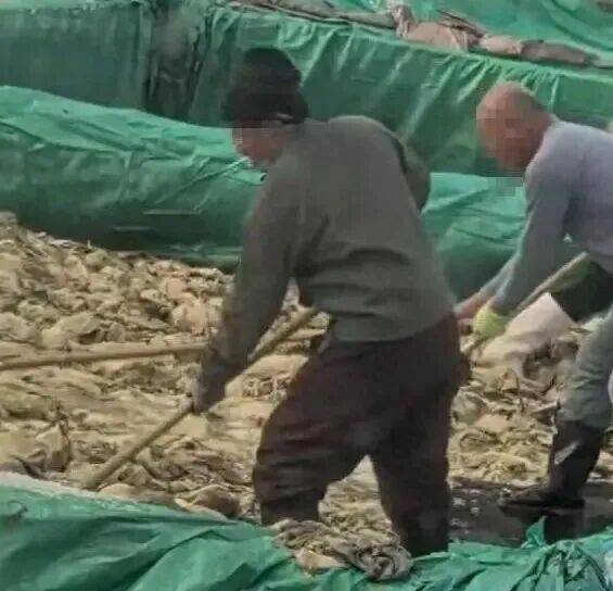 男子在酸菜池内抽烟吐痰<strong></p>
<p>宝信软件股票</strong>,官方通报!