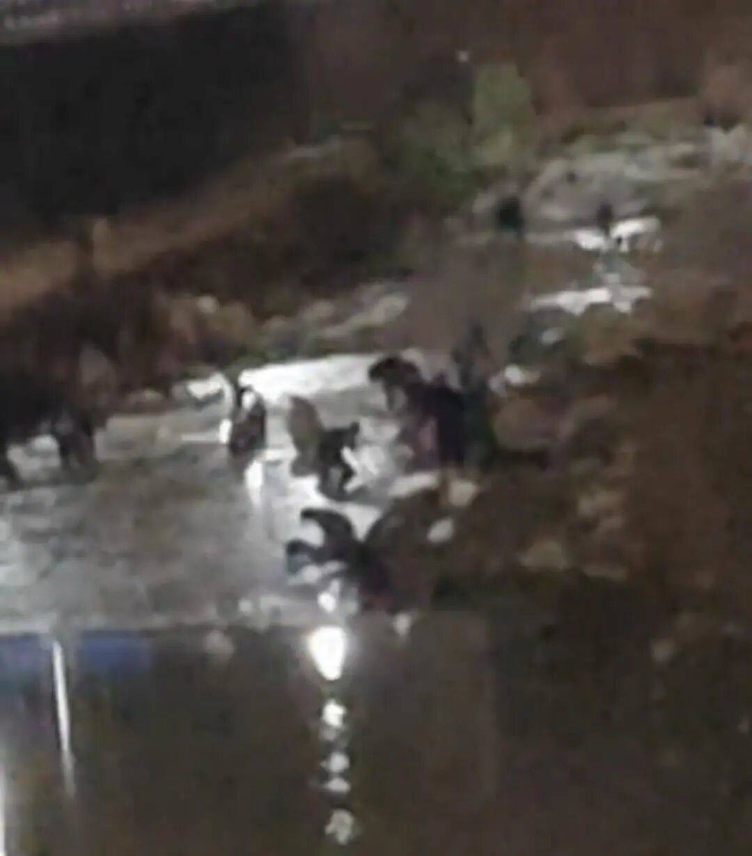 “一盆出5克多”<strong></p>
<p>国盾量子股票</strong>,多人凌晨下河淘金!当地警方回应