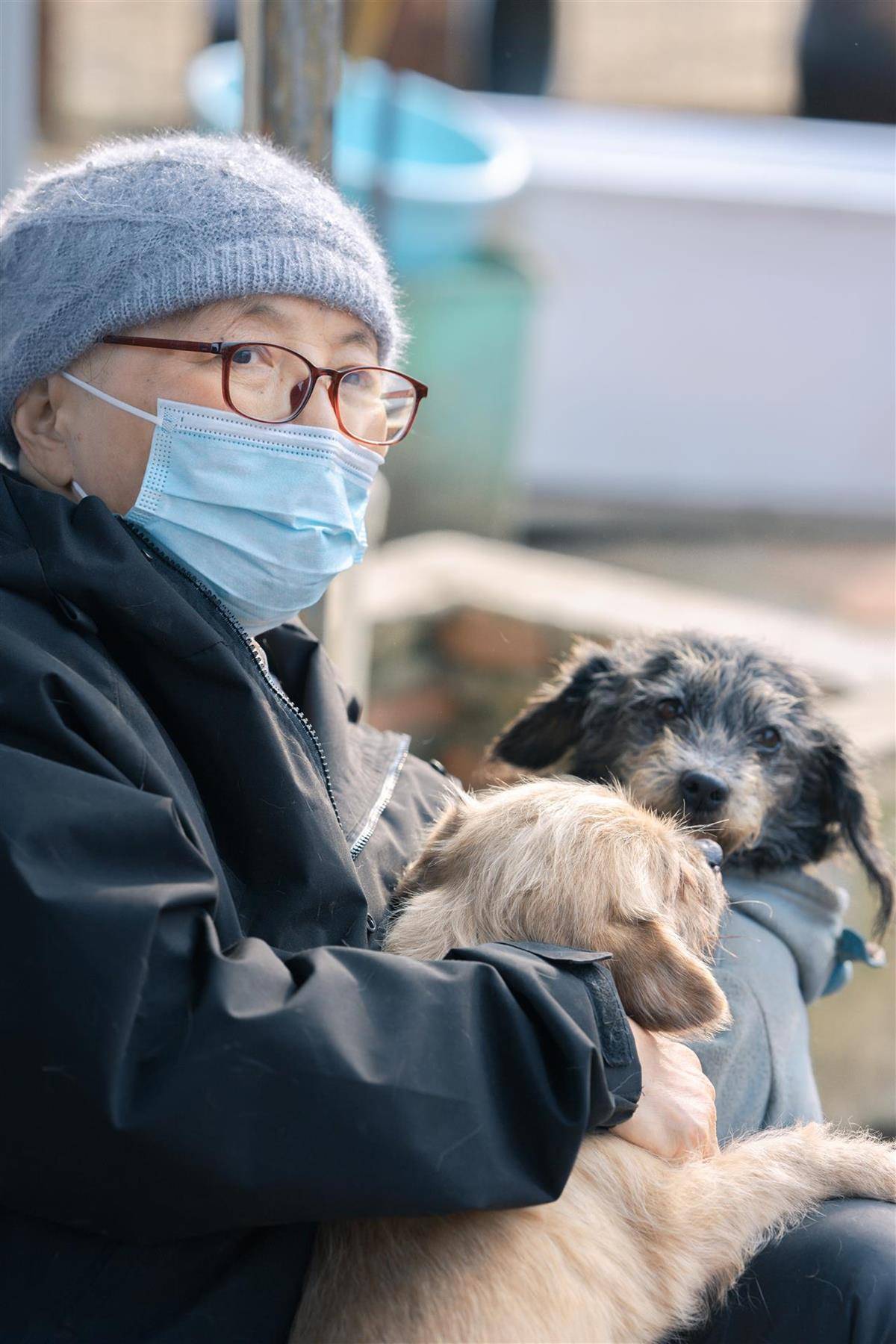 合肥卖房救助流浪狗的魏阿姨离世<strong></p>
<p>南京银行股票</strong>，病中仍然惦记着基地的600只流浪狗，工人：不敢相信世上还有这样执着的人