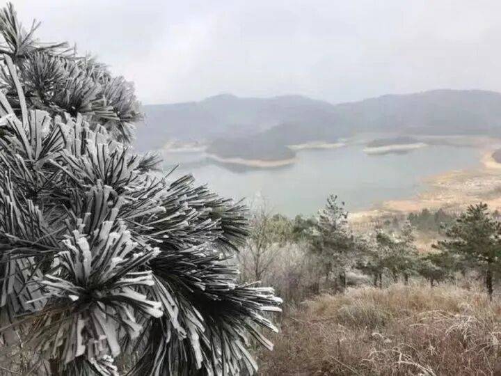 禁止任何形式穿越<strong></p>
<p>新大陆股票</strong>！杭州一地发布最严禁令