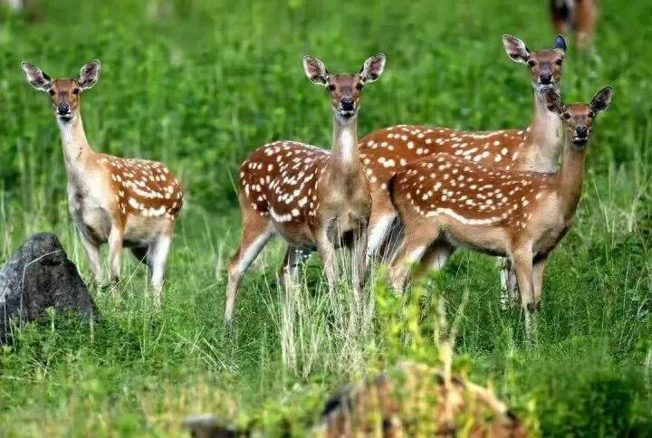 禁止任何形式穿越<strong></p>
<p>新大陆股票</strong>！杭州一地发布最严禁令